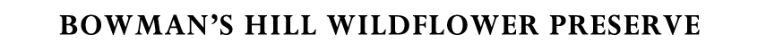 Host your event at Bowman's Hill Wildflower Preserve - New Hope PA